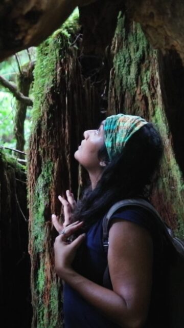 'The Nature Fix: Why Nature Makes Us Happier, Healthier and More Creative' by Florence Williams provides a charismatic and scientific explanation of the importance of being immersed in nature – unconsciously observing the myriad of calming fractal patterns on a leaf, barely perceiving the potent aroma of the multitude of fragrances filling the forest, and listening to the macro rhythms of all sorts of life dancing in perfect symbiosis.
It should come as no surprise that regular exposure to our natural environment would provide so many benefits for our health and well-being. This collection thereby solidifies in the scientific arena what we have sadly forgotten with our migration to cities and our predominantly indoor lifestyles.
It is vitally important that individuals, health professionals and city planners alike acknowledge the research illuminated within these pages and guide humanity towards a reconnection with our environmental roots.
#thenaturefix #yakushimaisland #yakushima #florencewilliams #shinrinyoku #forestbathing #natureismedicine